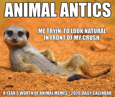 Animal Antics 2026 5.4 X 6.2 Box Calendar by Willow Creek Press