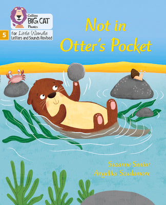 Big Cat Phonics for Little Wandle Letters and Sounds Revised - Not in Otter's Pocket!: Phase 5 by Senior, Suzanne