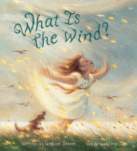 What Is the Wind? by Sterer, Gideon
