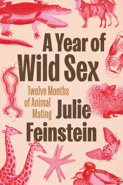 A Year of Wild Sex: Twelve Months of Animal Mating by Feinstein, Julie