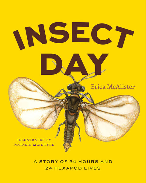 Insect Day: A Story of 24 Hours and 24 Hexapod Lives by McAlister, Erica