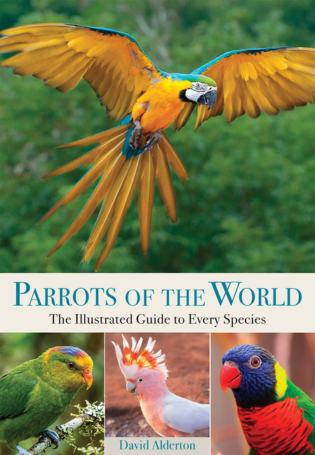 Parrots of the World: The Illustrated Guide to Every Species