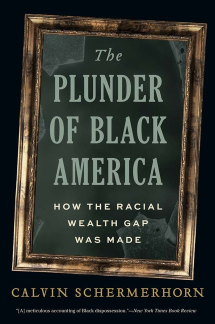 The Plunder of Black America: How the Racial Wealth Gap Was Made by Schermerhorn, Calvin