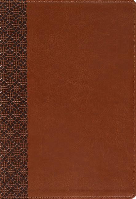 Amplified Holy Bible, Large Print, Leathersoft, Brown: Captures the Full Meaning Behind the Original Greek and Hebrew by Zondervan