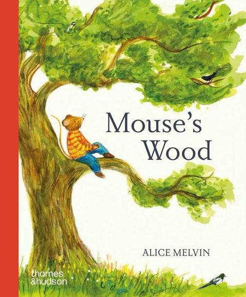 Mouse's Wood: Board Book by Melvin, Alice