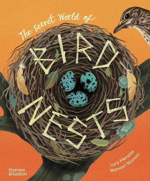 The Secret World of Bird Nests by Menzies, Lucy