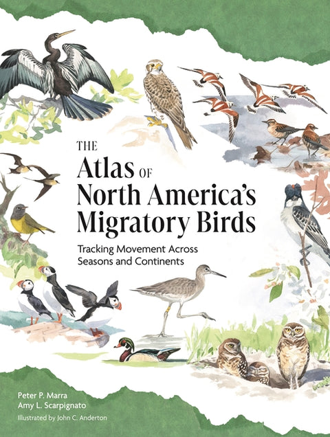 The Atlas of North America's Migratory Birds: Tracking Movement Across Seasons and Continents by Marra, Peter P.