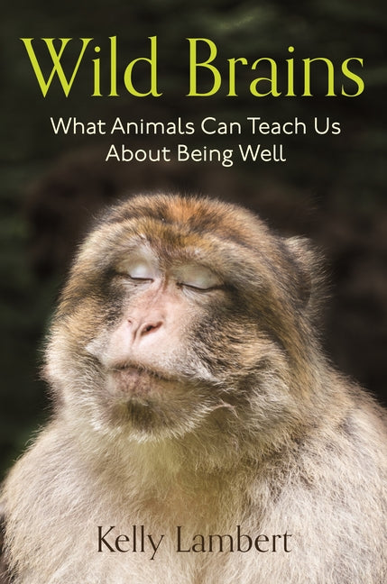 Wild Brains: What Animals Can Teach Us about Being Well by Lambert, Kelly