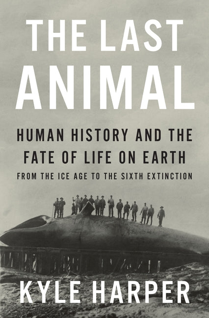 The Last Animal: Human History and the Fate of Life on Earth from the Ice Age to the Sixth Extinction by Harper, Kyle