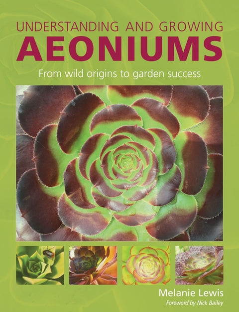 Understanding and Growing Aeoniums: From Wild Origins to Garden Success