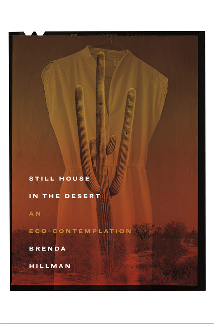 Still House in the Desert: An Eco-Contemplation