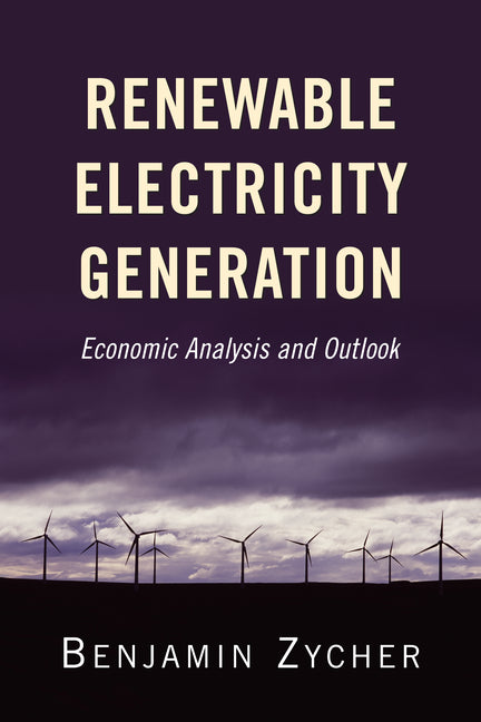 Renewable Electricity Generation: Economic Analysis and Outlook
