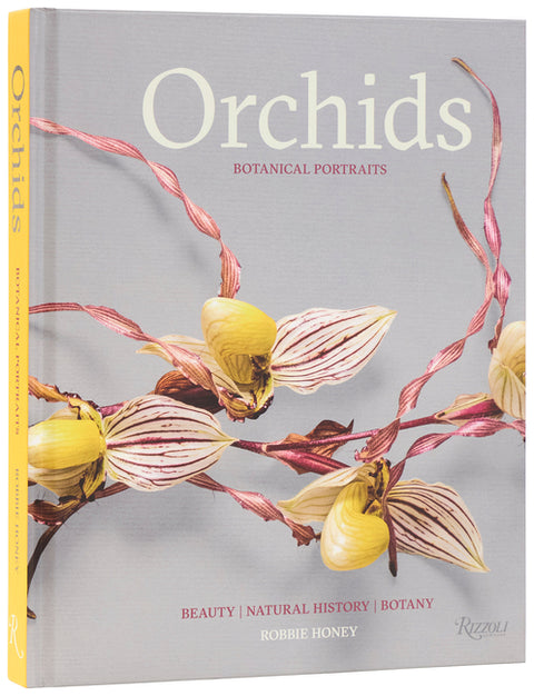 Orchids: Botanical Portraits: Beauty, Natural History, Botany