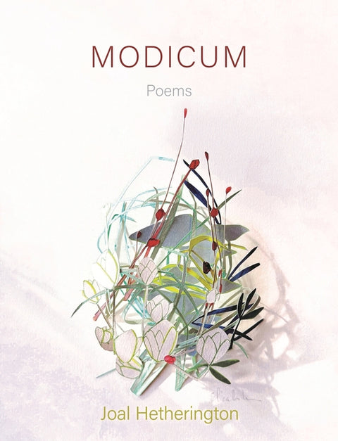 Modicum: Poems