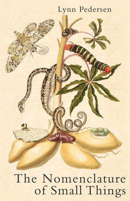 The Nomenclature of Small Things by Pedersen, Lynn