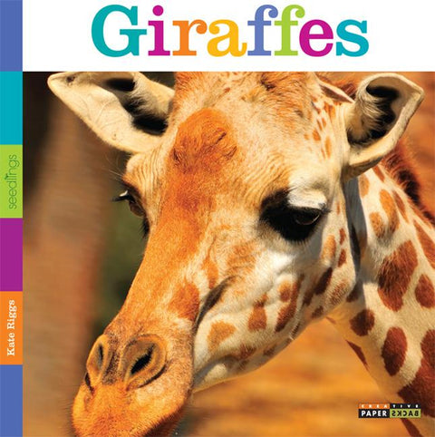Seedlings: Giraffes by Riggs, Kate