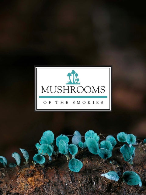 Mushrooms of the Smokies by Kalichman, Jacob