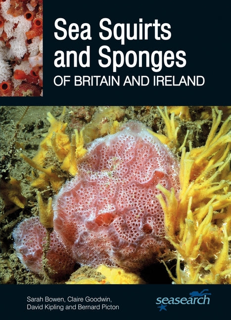 Sea Squirts and Sea Sponges of Britain and Ireland by Bowen, Sarah