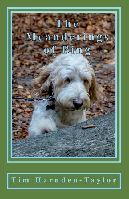 The Meanderings of Bing: A gentle, humorous look at life, snooker, whizzers and other great philosophical mysteries through the meanderings of Bing, a