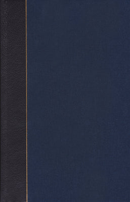 Mystics at the Dawn of the Modern Age: And Their Relation to the Current Natural-Scientific Paradigm (Cw 7) by Steiner, Rudolf