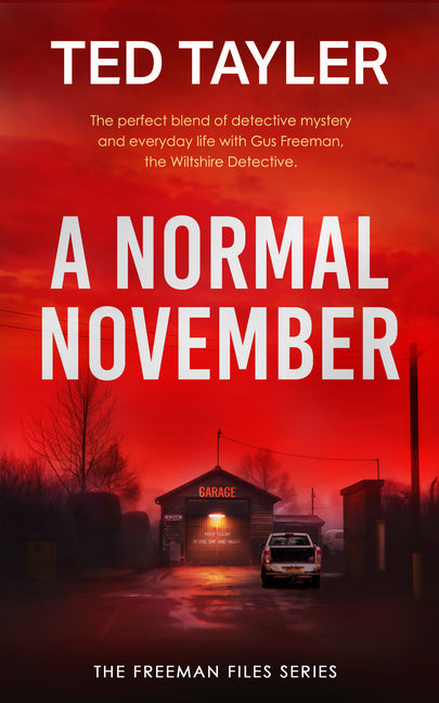 A Normal November: A Cold Case Murder Mystery Series by Tayler, Ted