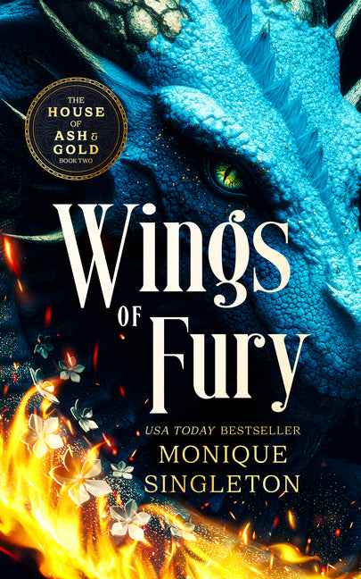 Wings of Fury: A Dark Dragon Rider Romantasy