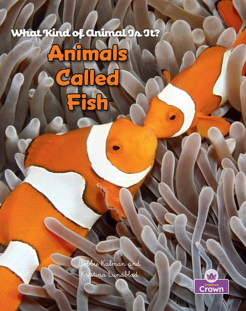 Animals Called Fish