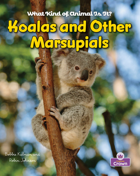 Koalas and Other Marsupials