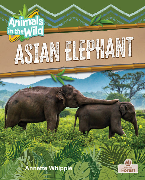Asian Elephant by Whipple, Annette