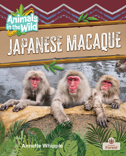 Japanese Macaque by Whipple, Annette