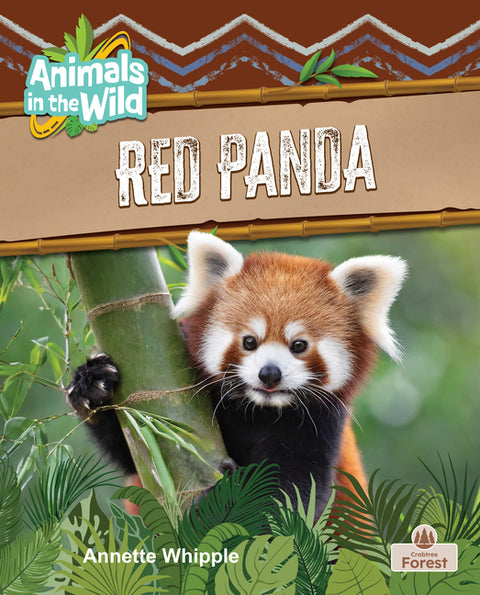 Red Panda by Whipple, Annette
