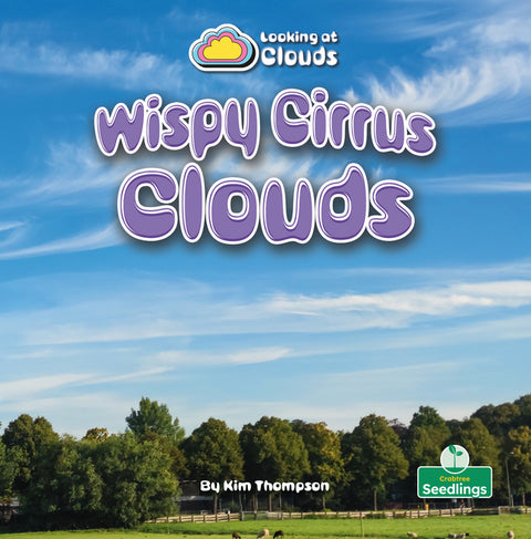 Wispy Cirrus Clouds by Thompson, Kim
