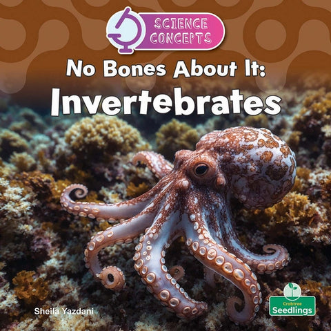 No Bones about It: Invertebrates