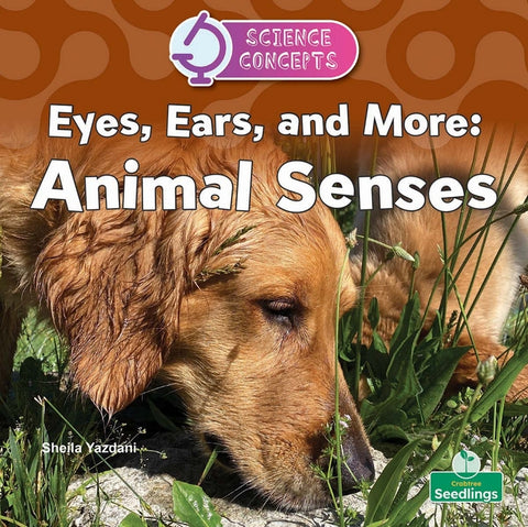 Eyes, Ears, and More: Animal Senses