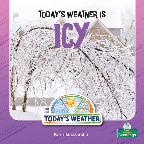 Today's Weather Is Icy