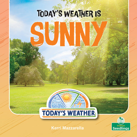 Today's Weather Is Sunny