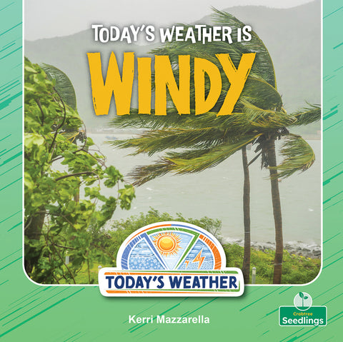 Today's Weather Is Windy