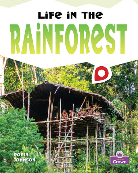 Life in the Rainforest