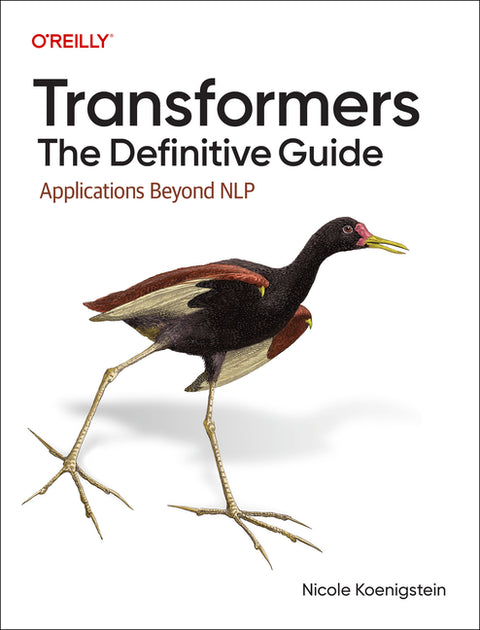 Transformers: The Definitive Guide: Applications Beyond Nlp by Koenigstein, Nicole