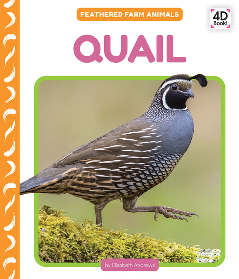 Quail