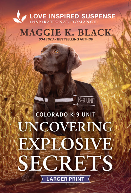 Uncovering Explosive Secrets