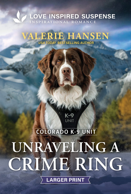 Unraveling a Crime Ring by Hansen, Valerie