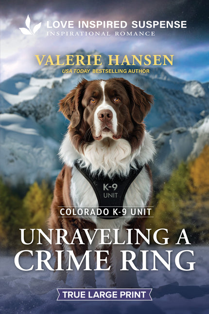 Unraveling a Crime Ring by Hansen, Valerie