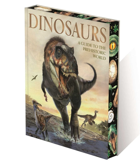 Dinosaurs: A Guide to the Prehistoric World by Hibbert, Clare