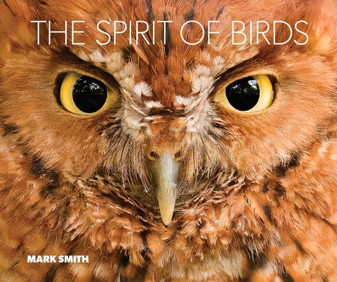 The Spirit of Birds: From World Renowned Nature Photographer Mark Smith by Smith, Mark