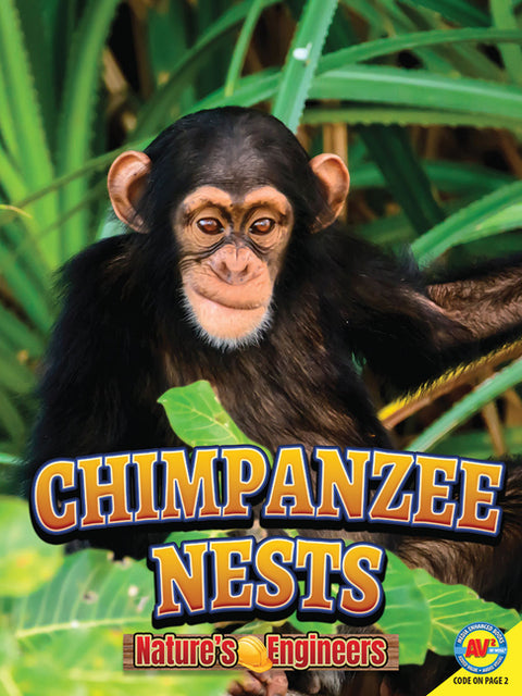 Chimpanzee Nests by Forest, Christopher