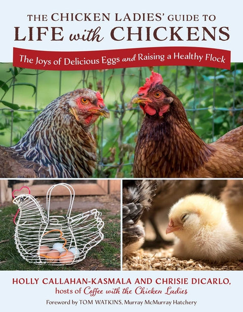 The Chicken Ladies' Guide to Life with Chickens: The Joys of Delicious Eggs and Raising a Healthy Flock by Callahan-Kasmala, Holly
