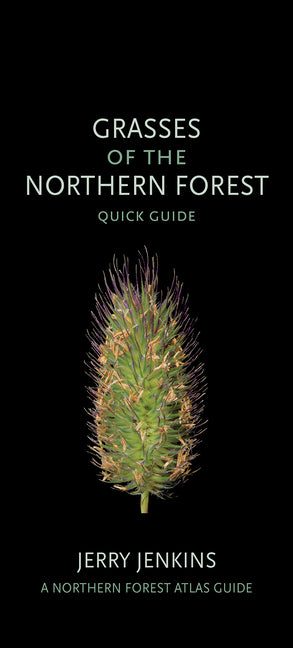 Grasses of the Northern Forest: Quick Guide by Jenkins, Jerry