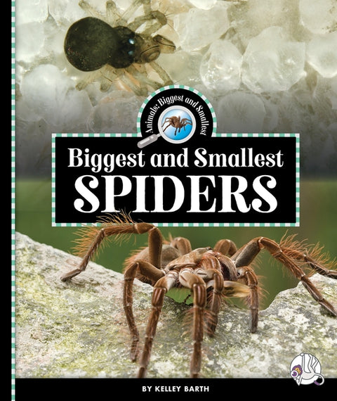 Biggest and Smallest Spiders
