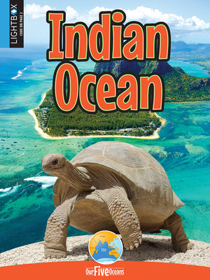 Indian Ocean by Lepp Friesen, Helen